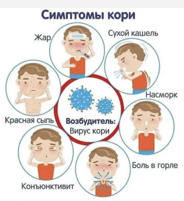 ❗️Заболеть корью может любой человек, но чаще всего она встречается у детей.

Корь поражает дыхатель