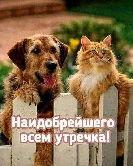 КРАСИВЫЕ ОТКРЫТКИ ТУТ💖