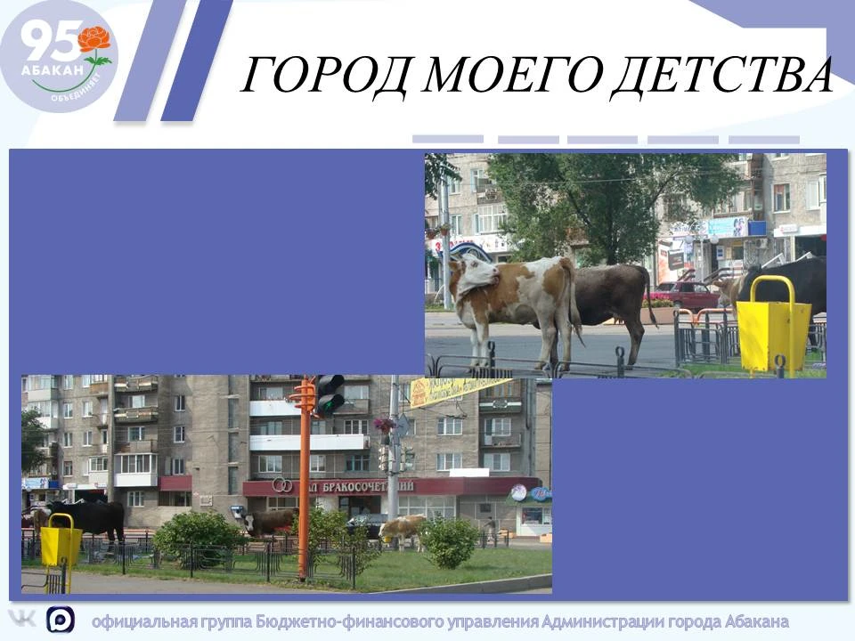 Еще в 90-х коровушки на центральной улице города были не редкостью.