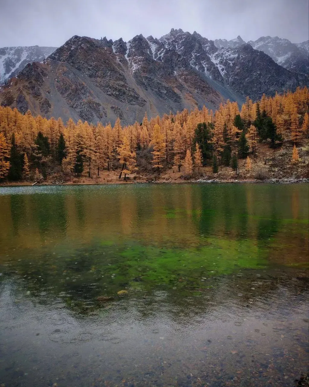 🍂 Куектанарские