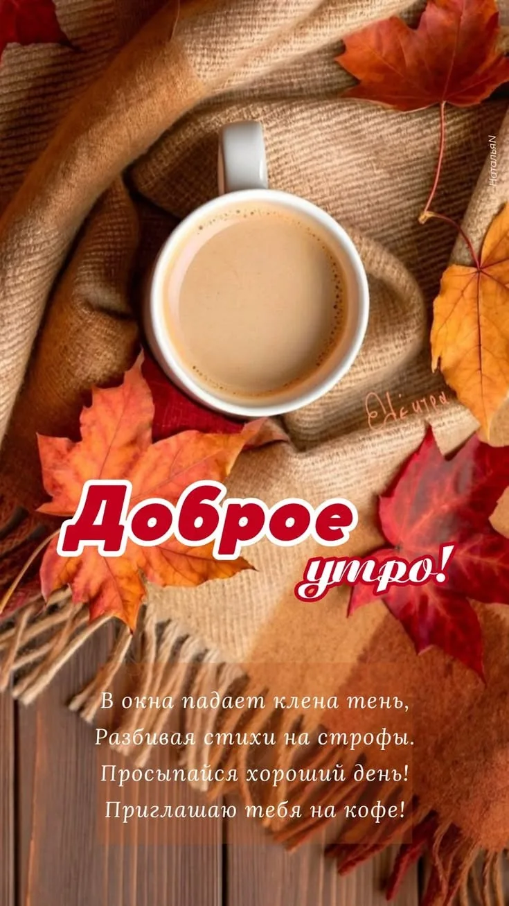 https://max.ru/se13912156_biz