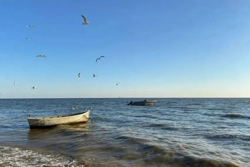 В Таганрогском заливе могут исчезнуть рыбы, которые водились веками