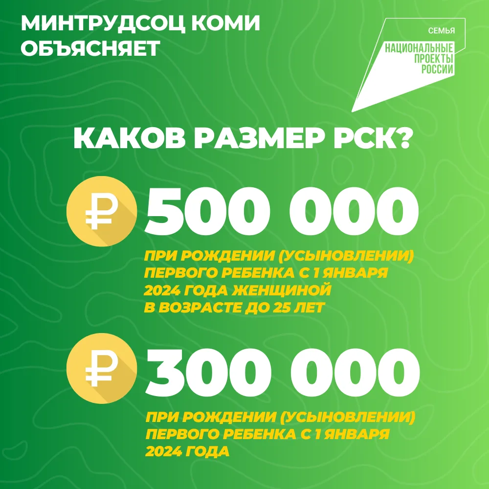 Нацпроект «Семья»: в Коми семьям, у которых родился первый ребенок, полагается региональный семейный
