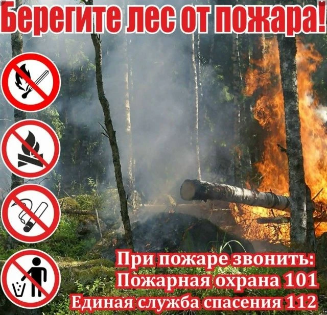 Берегите лес от пожара!