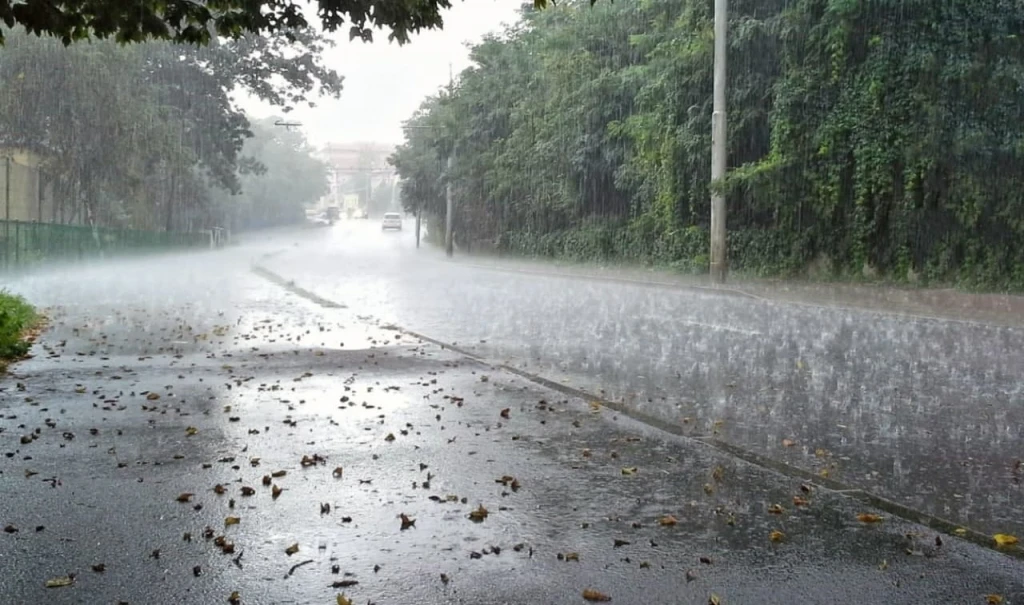 ⛈  Дожди и грозы ожидаются в Курской области 30 июля

Сегодня в регионе прогнозируется облачная пого
