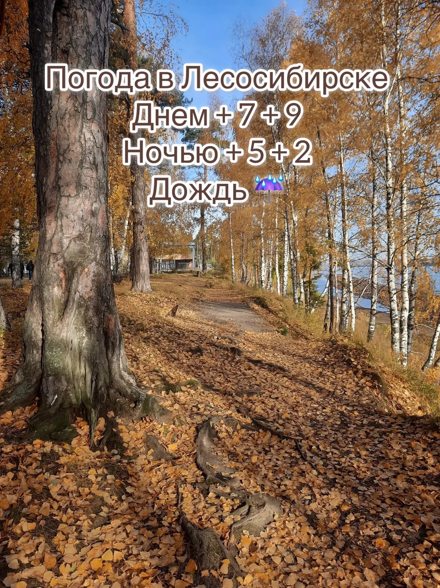 ☀️Доброе утро, друзья!