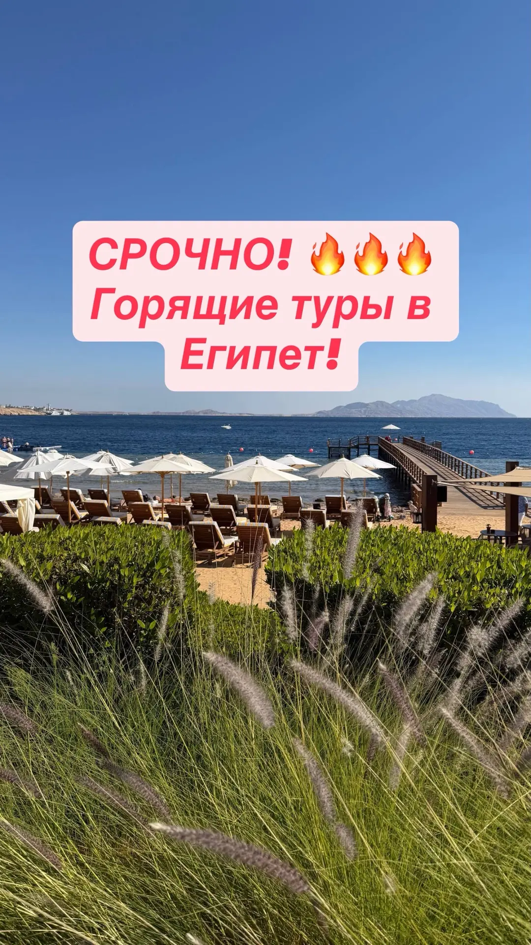 СРОЧНО! Горящие туры в Египет!!!
