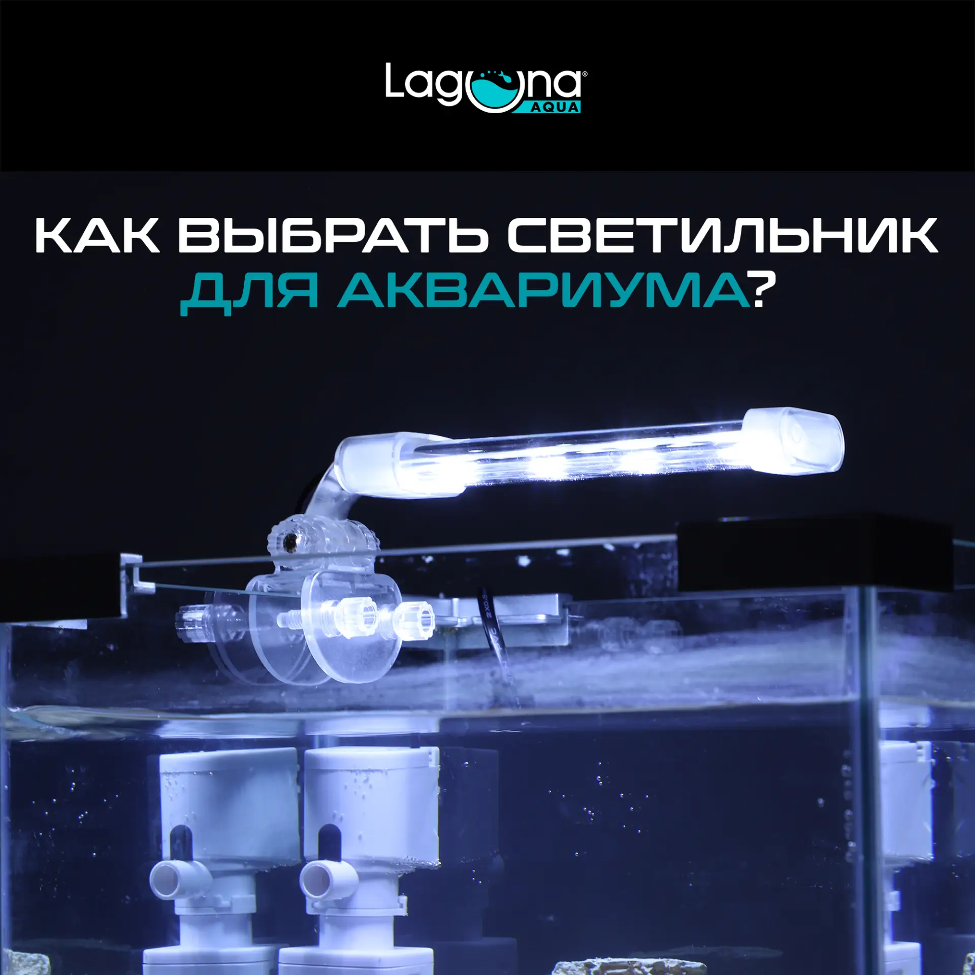 💡Свет в аквариуме — это не просто «чтобы было красиво». Это основа биобаланса, здоровья рыб и роста