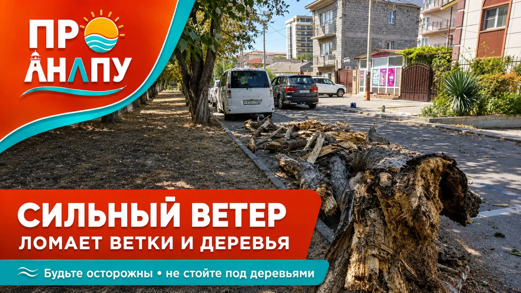 В Анапе сильный ветер ломает ветки и деревья