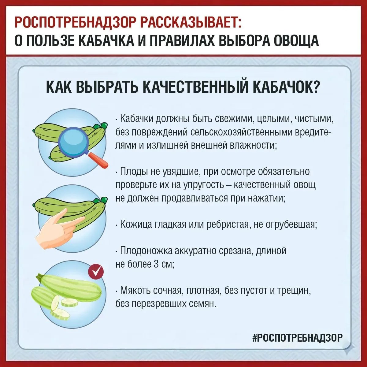 🥒 Кабачок – это низкокалорийный диетический овощ, он является одним из самых доступных...