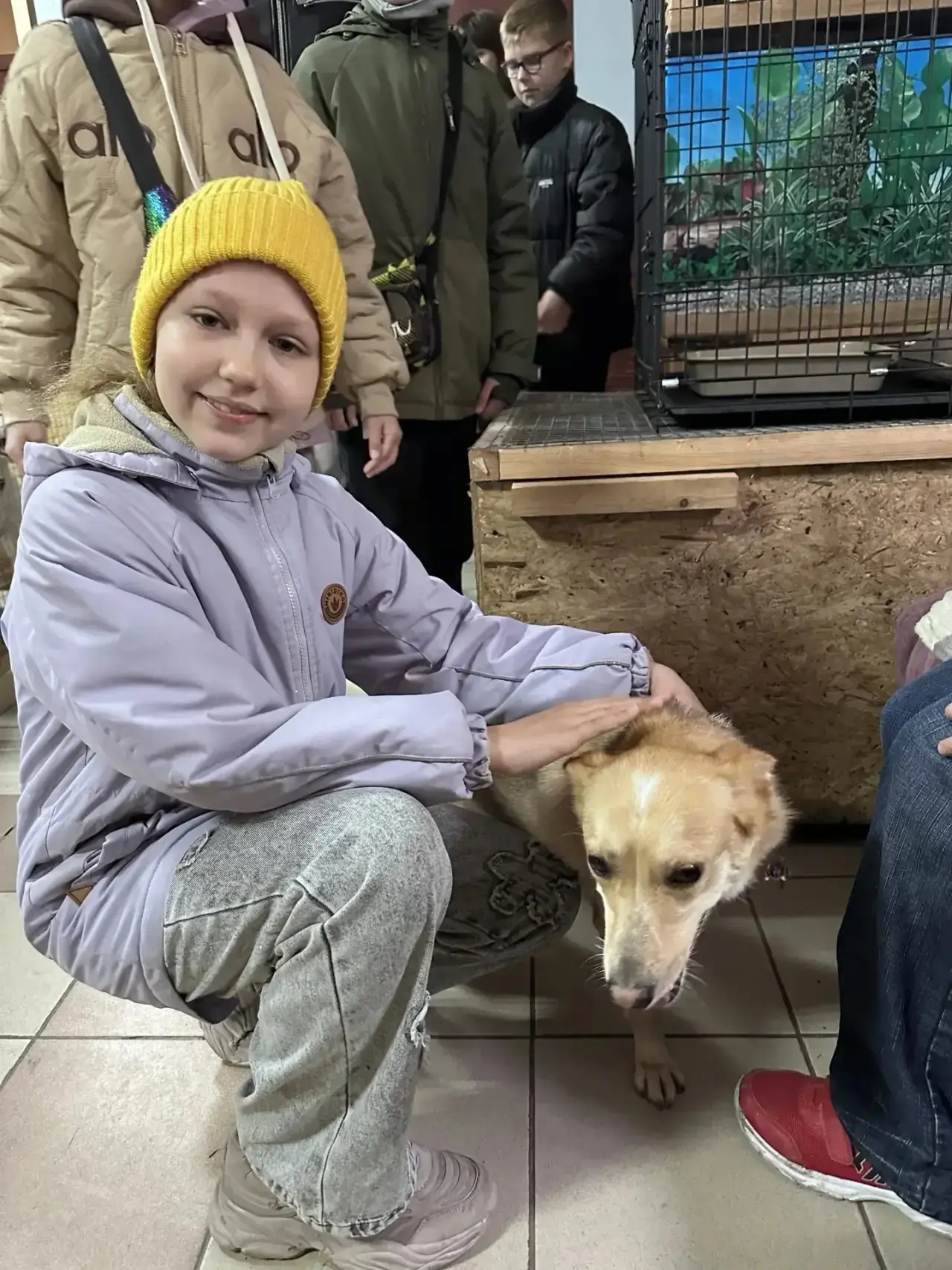 Сегодня ученики 3 ,,В" класса посетили  🦮🐩🐕 приют    ,,Четвероногий ангел". Ребята с родителями прин