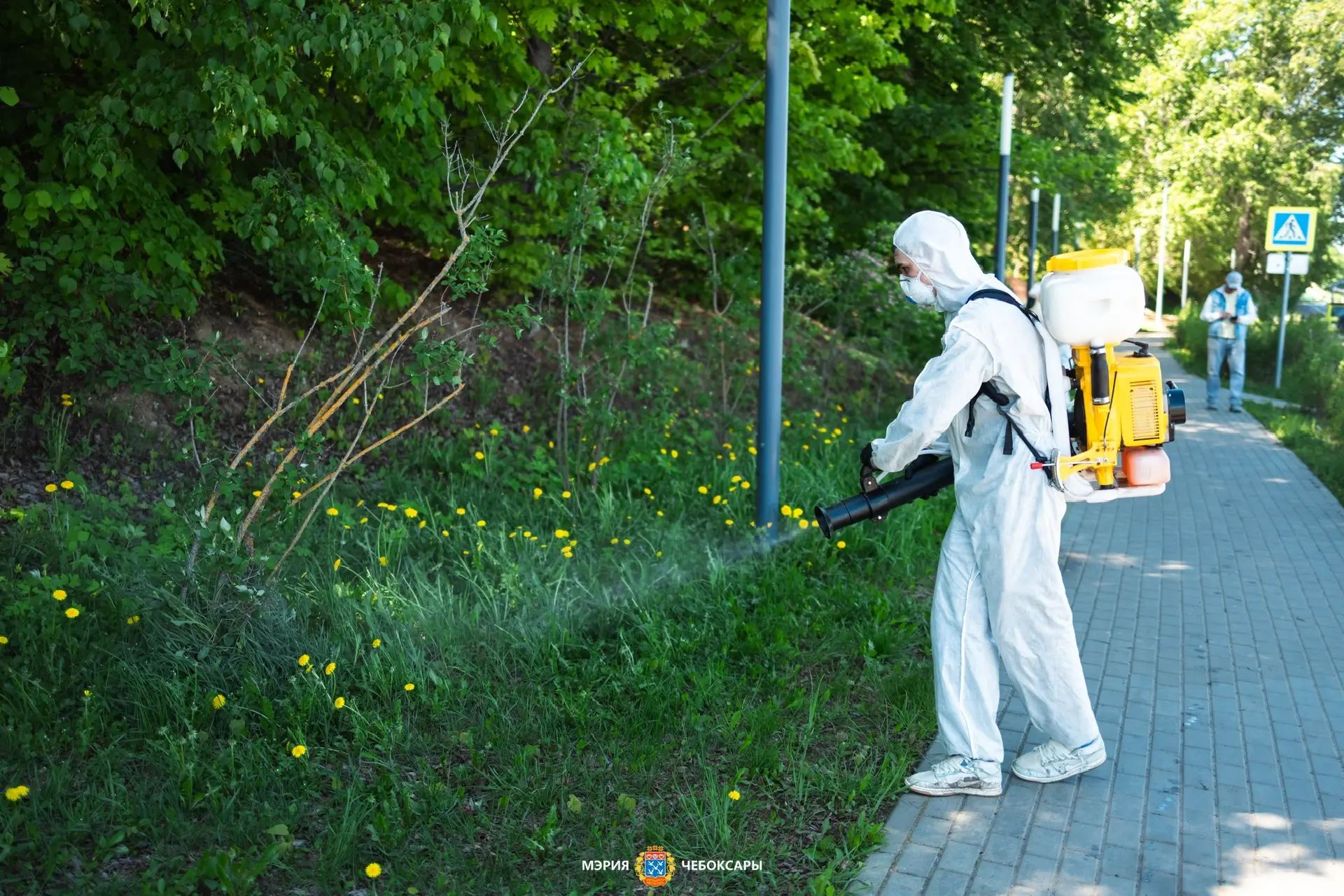 В Чебоксарах продолжается обработка территорий от клещей и комаров  Акарицидная обработка проводится