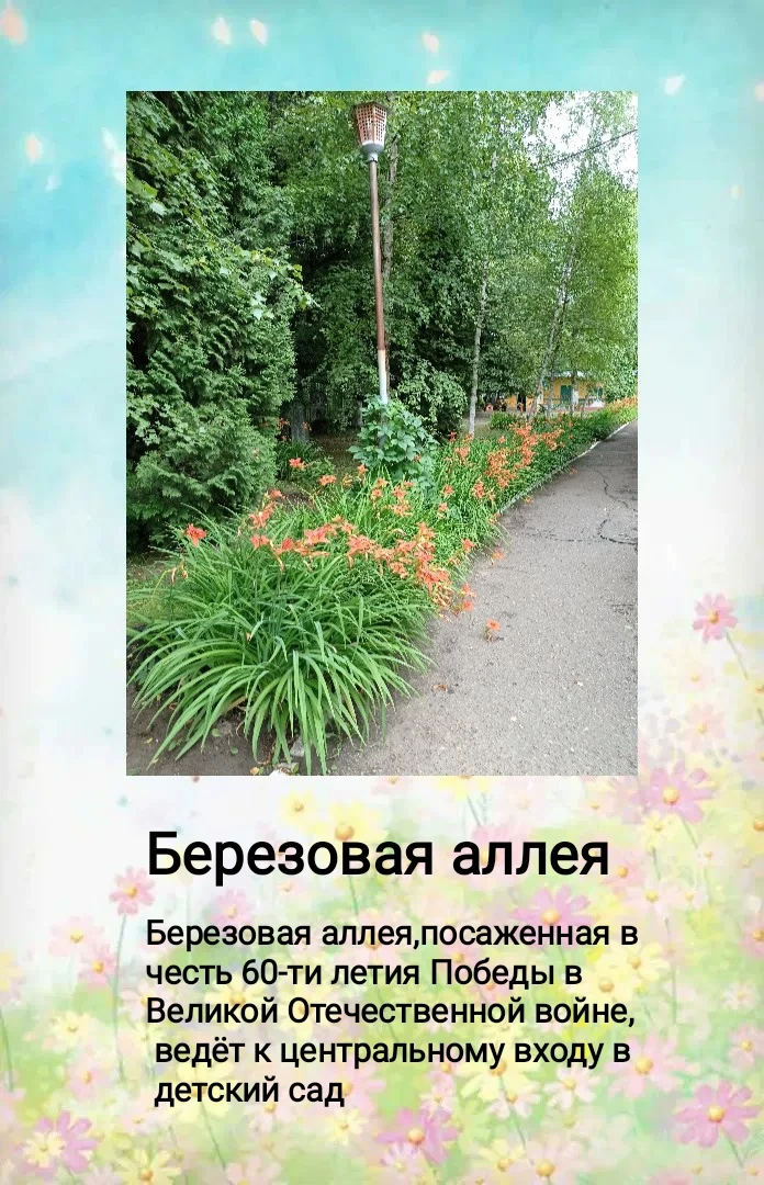 Удивительный мир растений.
Территория детского сада - настоящий заповедник в центре города. Не каждо