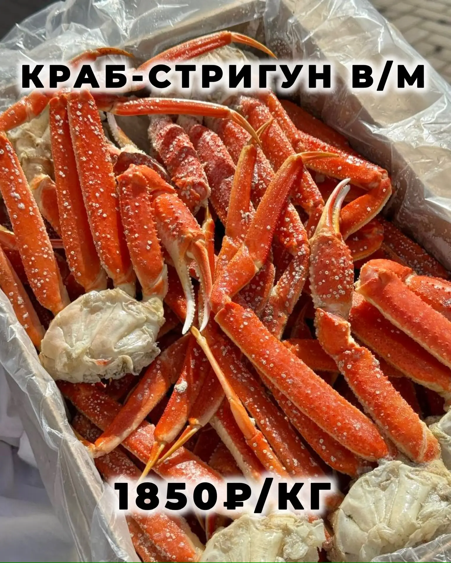 ПОТРЯСАЮЩИЙ КРАБ-СТРИГУН 🦀 Приехал в Крабику!  🔥Варено-мороженый! 🔥С отличной наполняемостью и сочны