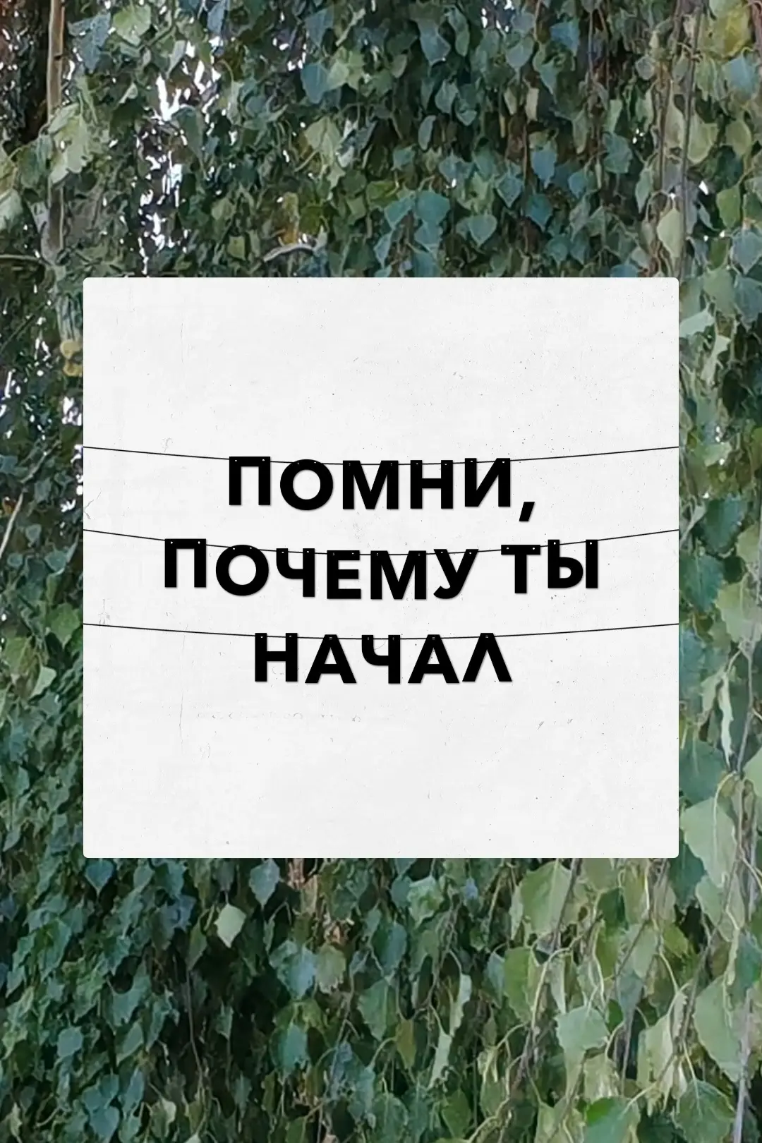 Да, и не обещаю, что ИСКУССТВО ОБольЩЕНИЯ будет лёгким! 300 раз лучше подумать!