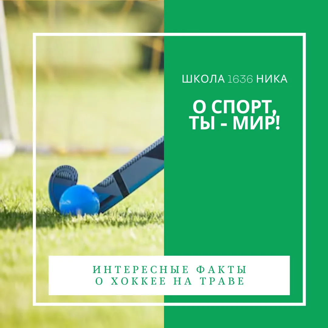О спорт, ты — мир!🏑