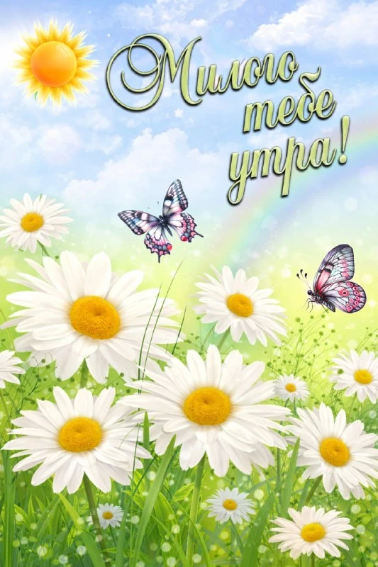 ДОБРОЕ УТРО!