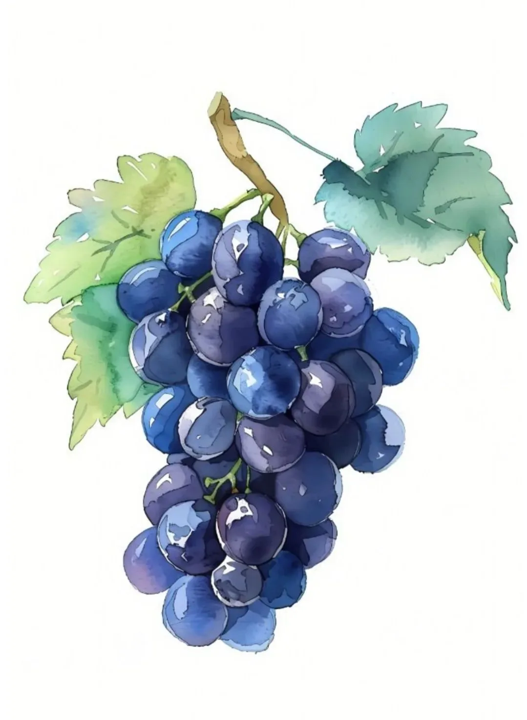 🍇День винограда: праздник солнца, вкуса и традиций🎉