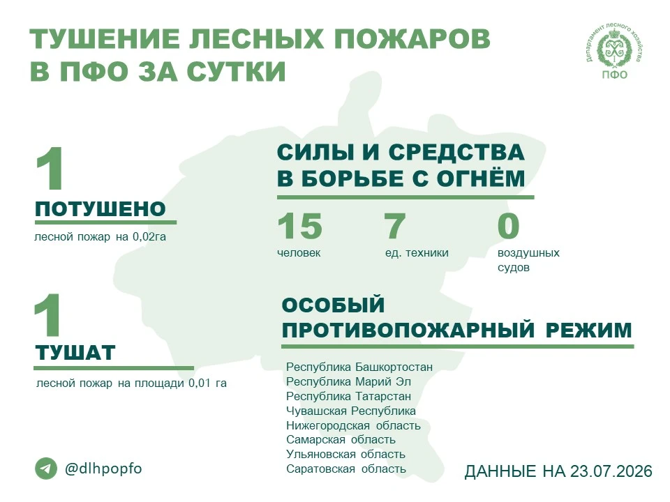 🔥️ За прошедшие сутки в регионах ПФО потушен 1 лесной пожар, продолжается тушение 1 лесного пожара.