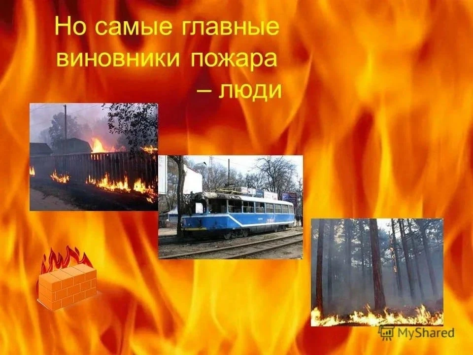 С приходом тепла начнётся проблема весенних палов. Следует помнить, что травяной пал развивается сти