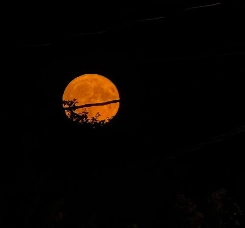 🌕 «Оленью луну» смогут увидеть пензенцы в последние дни июля.

29 июля в 17:36 наступит июльское по