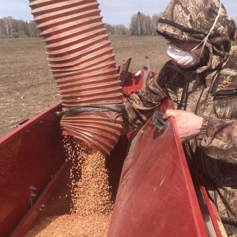 🌾 Посевная кампания в регионе: финишная прямая! 🌾

Яровой сев завершен на 96% — засеяно около 167,