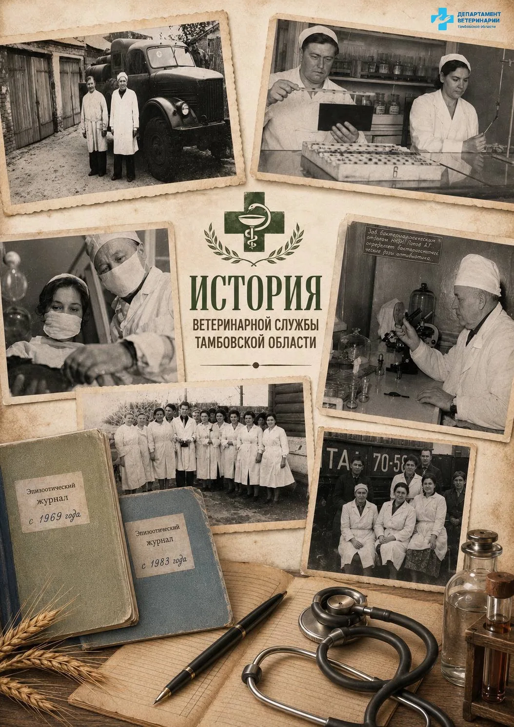 💫В преддверии Дня ветеринарного работника России продолжаем вспоминать как развивалась...