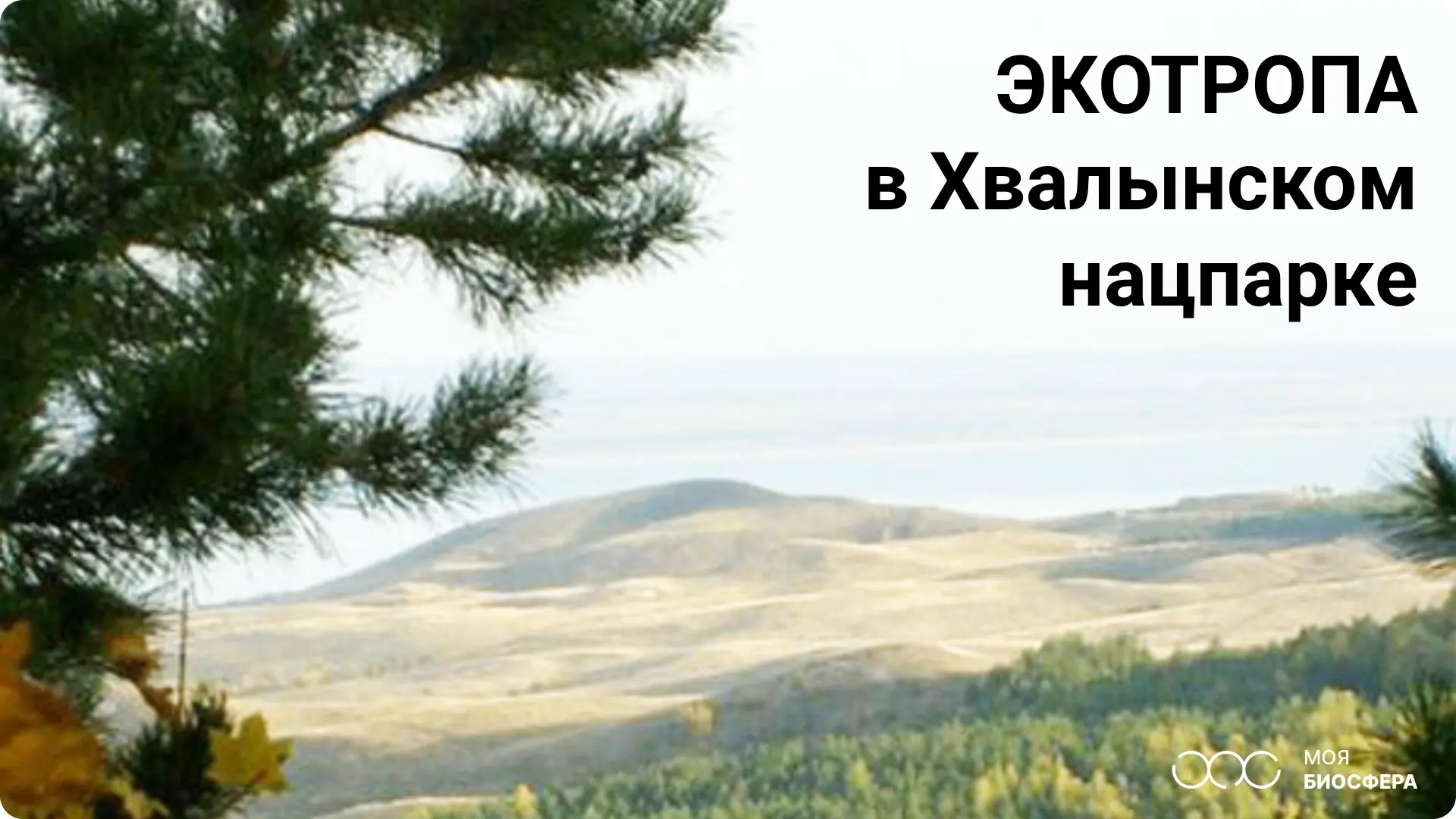 🌿 Полтора километра над Волгой