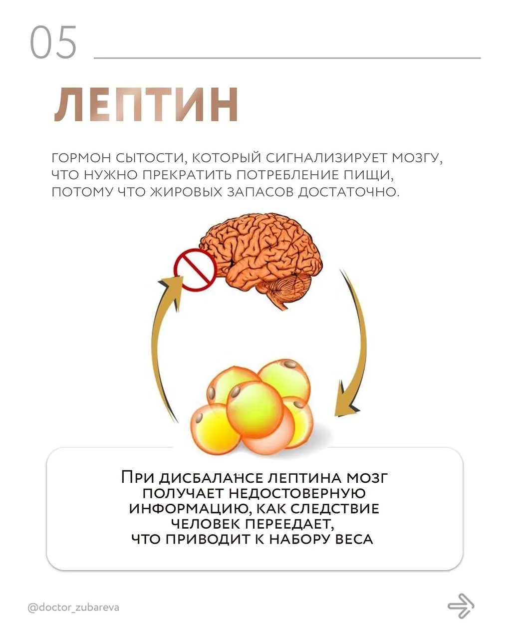 «ГОрмония» лишнего веса  Не едите вредную пищу, занимаетесь спортом, но вес либо стоит на месте, либ