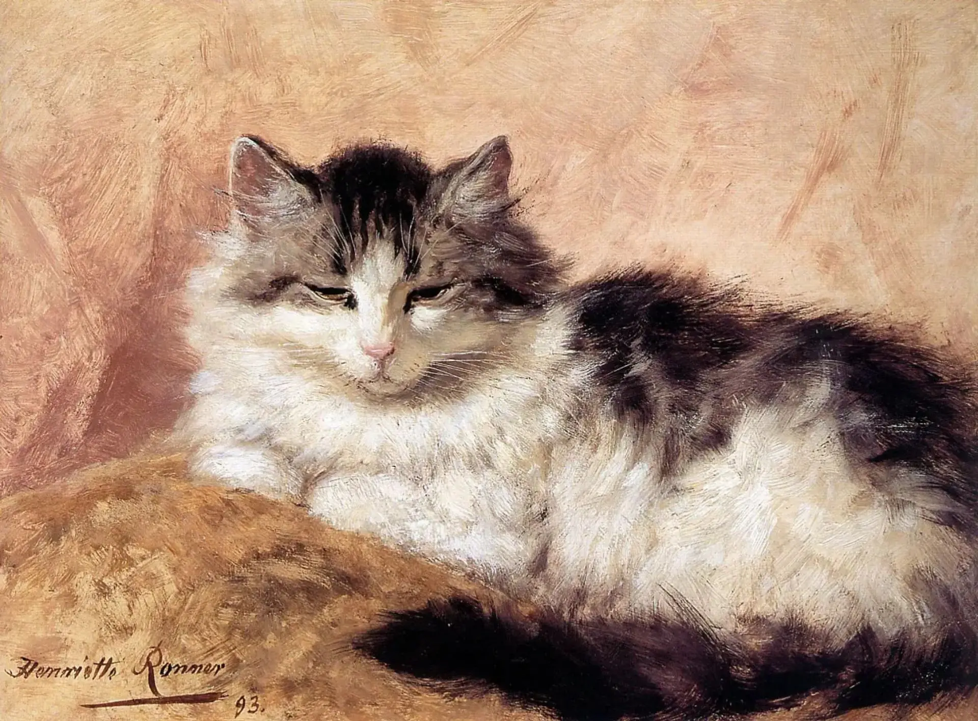 Дремлющий кот, 1893, 27×36
Генриетта Роннер-Книп (1821–1909)
Частная коллекция

Голландская художниц