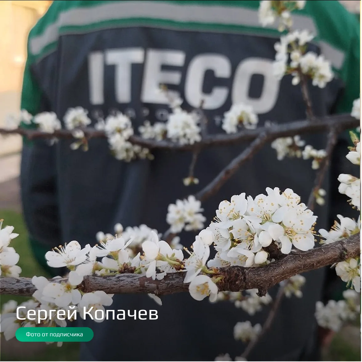 🚛 Водители-экспедиторы ITECO продолжают делиться фотографиями из рейсов