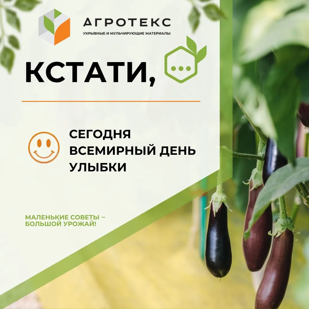 Говорят, удача любит тех, кто улыбается. А вдруг сегодня она улыбнётся именно вам? 😊