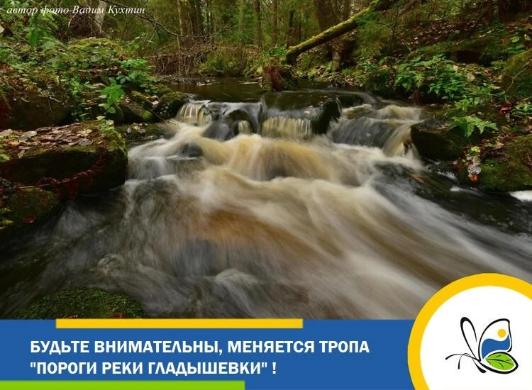 ❗️Уважаемые посетители заказника "Гладышевский"! Обратите внимание, сейчас происходит перетрассировк