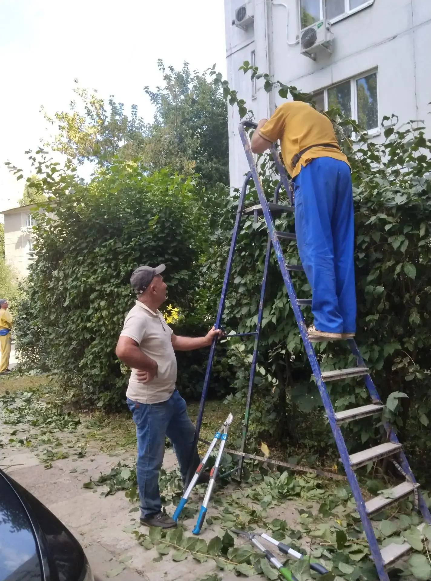 ✅Выполненные работы