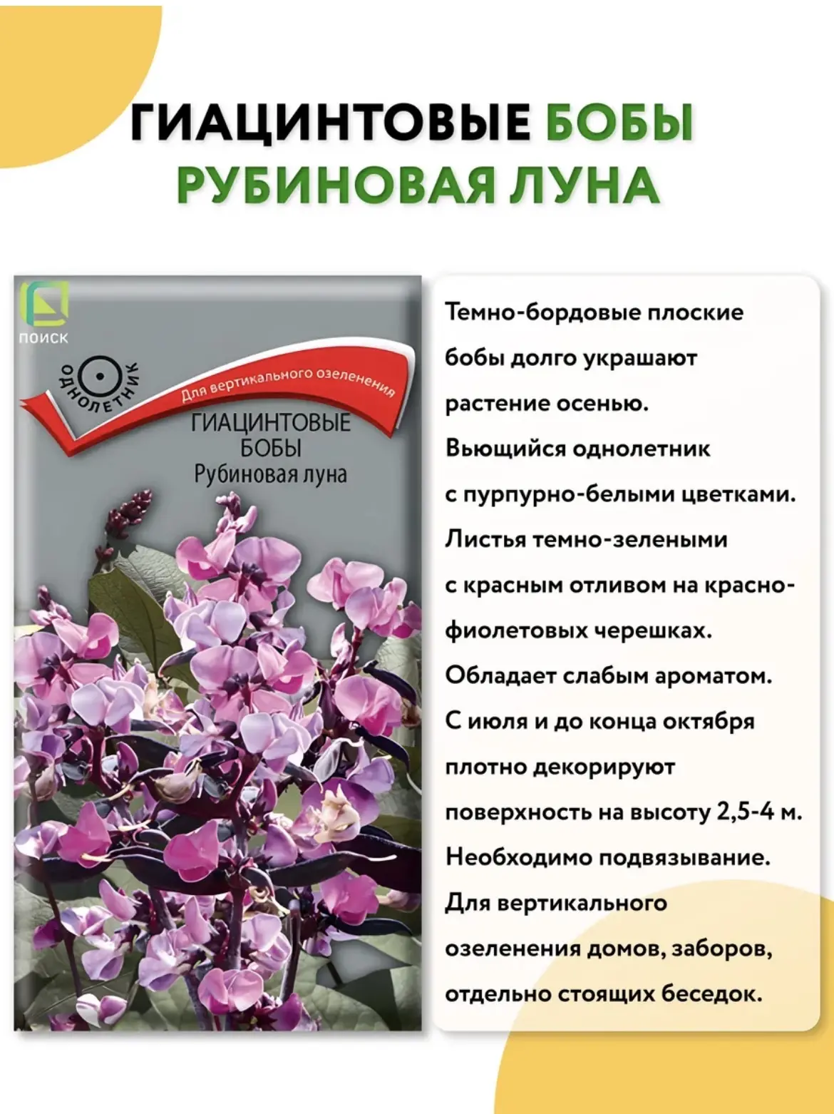 А потом я увидела это 😁