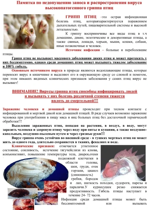 Памятка по недопущению заноса и распространения вируса