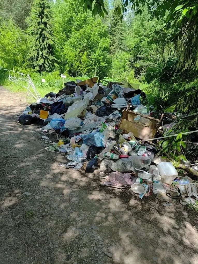 В г Кирове-Чепецке,в садоводстве "Чижеги" в лесном массиве находится несанкционированная свалка мусо