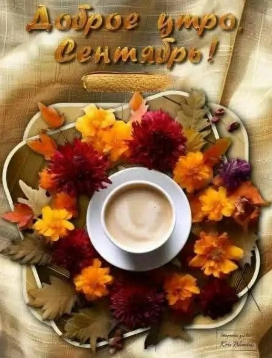 Всем доброе утро! 🌞