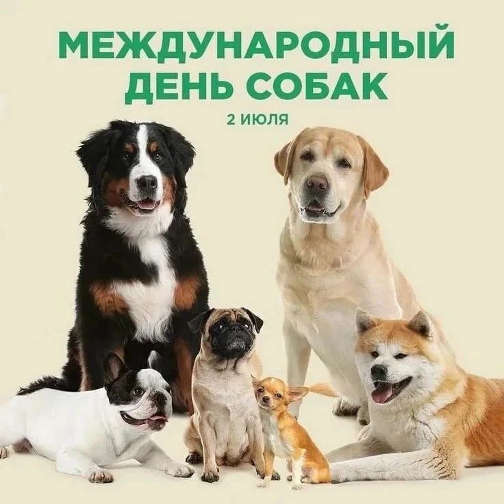 🐶2 июля празднуется международный день собак, предлагаем вам узнать интересные факты о...
