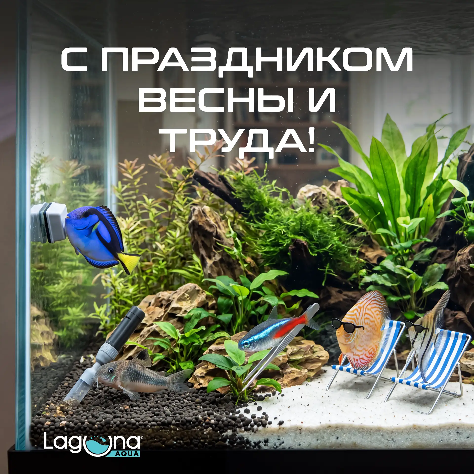 С Праздником Весны и Труда!🎉