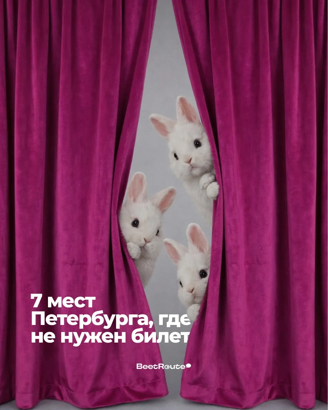 🚷 Безбилетникам вход... разрешён!