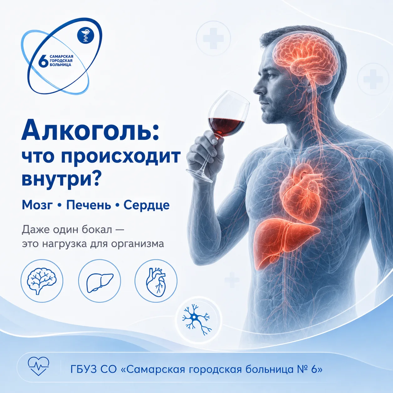 🍷 Выпили бокал. А что происходит внутри организма дальше?