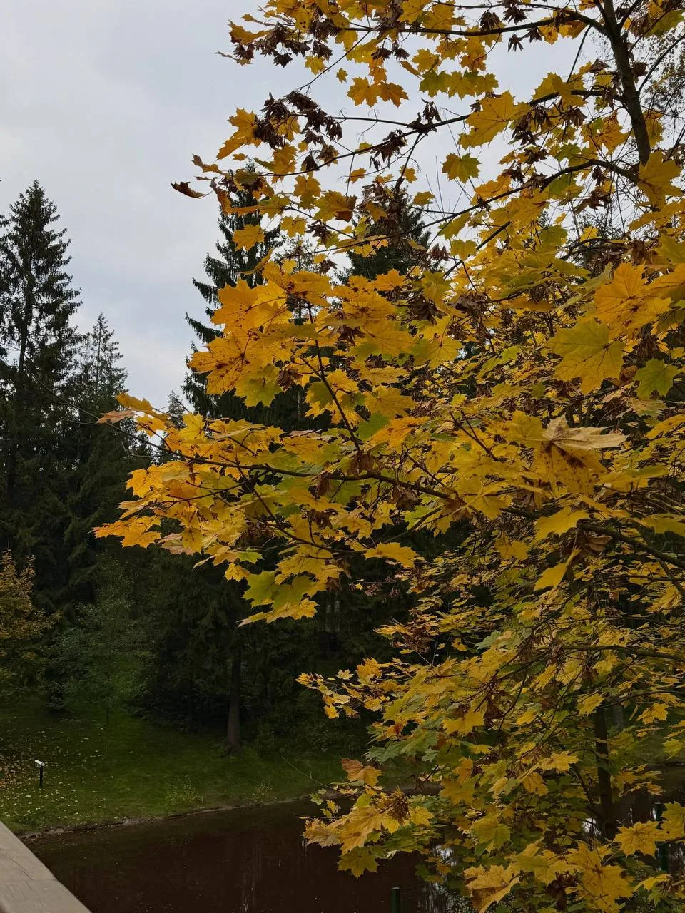 😍Осеннее настроение