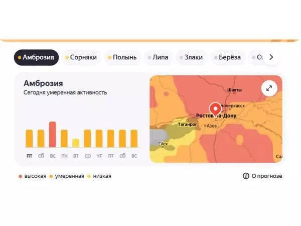 В Ростовской области 13 сентября ожидается высокая концентрация пыльцы амброзии.