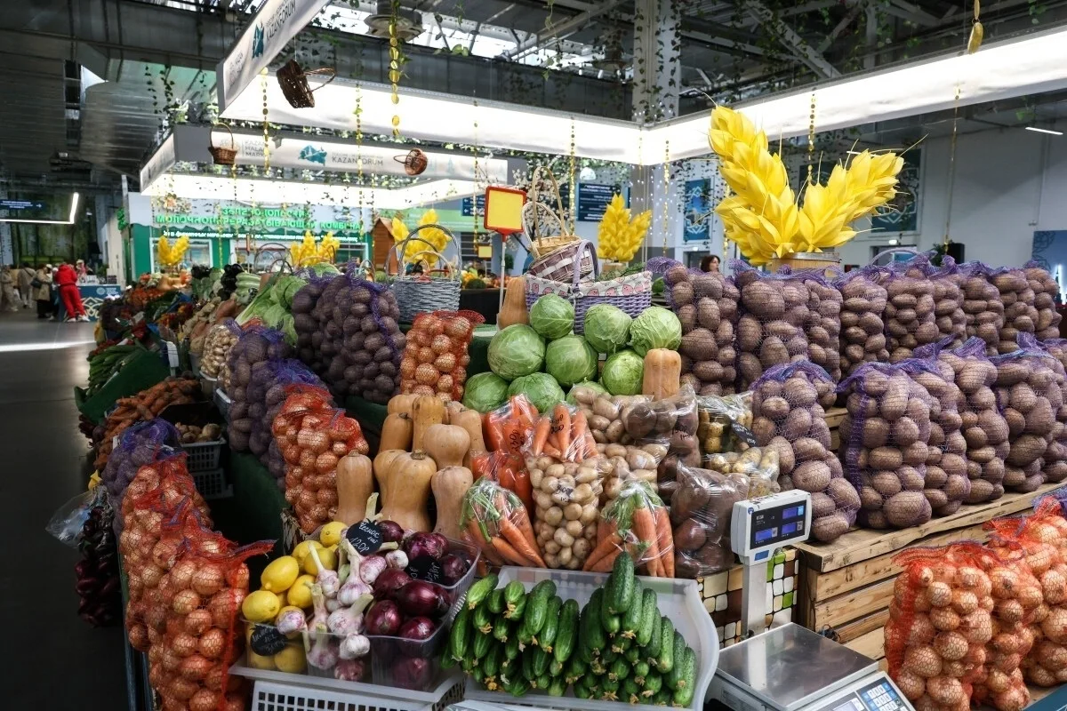 Огурцы в Татарстане за неделю подорожали почти на 10%

В Татарстане за неделю, с 8 по 15 июня, среди
