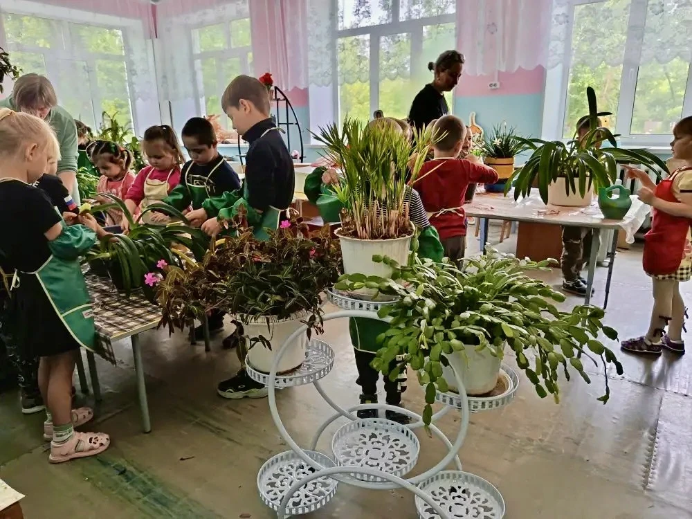 Экологическая комната: день заботы о природе! 🌿

В нашей экологической комнате сегодня кипела работ