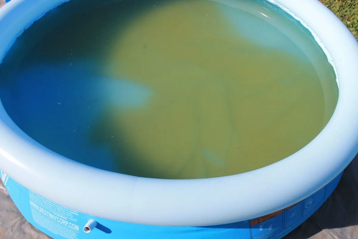 Самодельный водный пылесос для чистки бассейна! 
Для сборки понадобятся щетка и трубка от старого пы