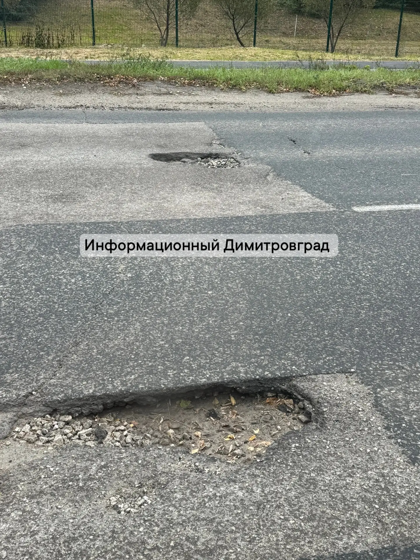 Уважаемая администрация города Димитровграда! Обращаю ваше внимание на критическое сост...
