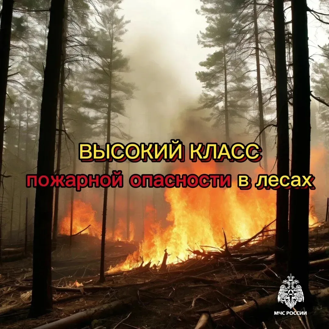 ❗С 17 по 22 июня в Чувашии ожидается высокая пожарная опасность в лесах по условиям погоды

МЧС Росс