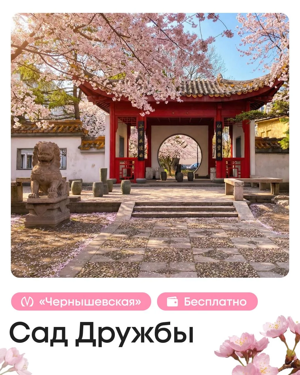 🇯🇵 Полный гайд по сакуре: где искать Японию в Петербурге  Для путешествия в страну восходящего солнц